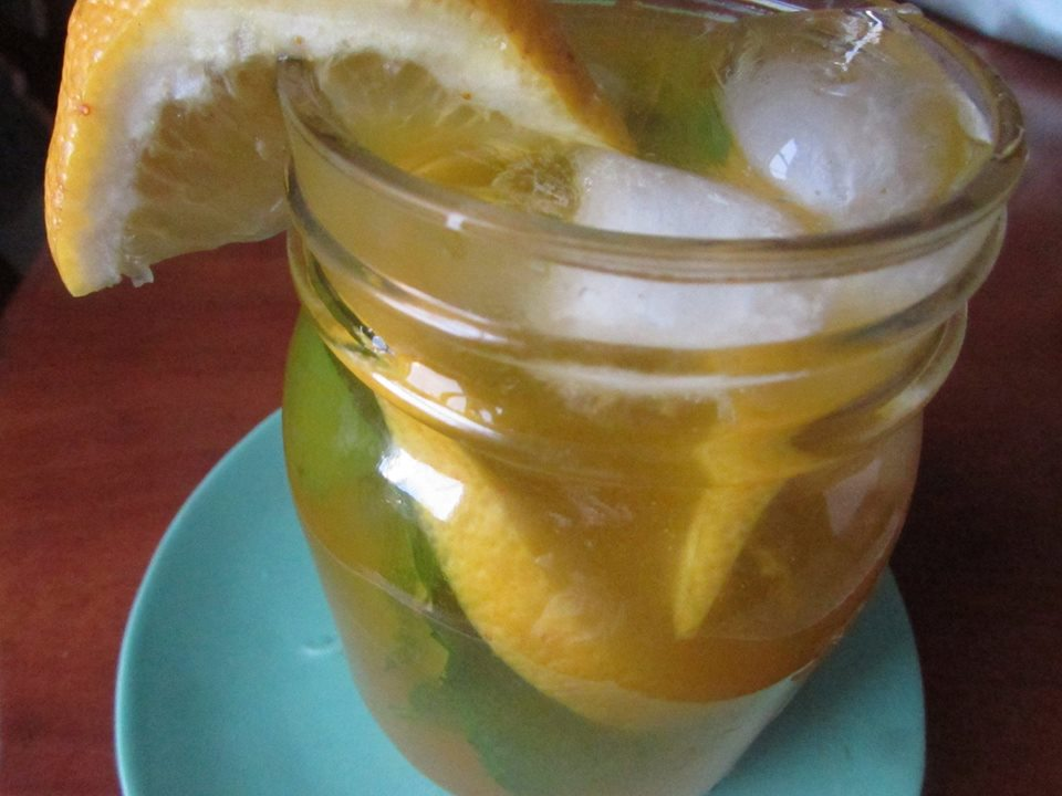 Janet Zdichavsky Iced Cold Turmeric Ginger Lemon Aid
